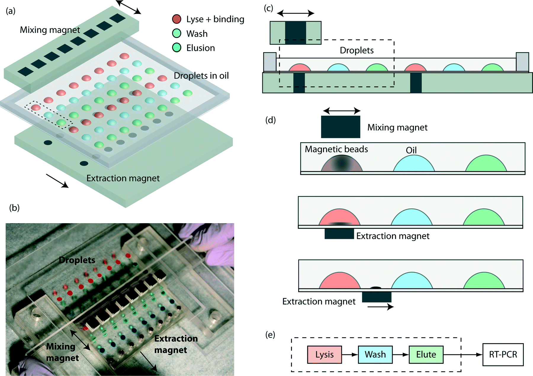 Parallel RNA extraction using magnetic beads and a droplet array - Lab on a  Chip (RSC Publishing) DOI:10.1039/C4LC01111B