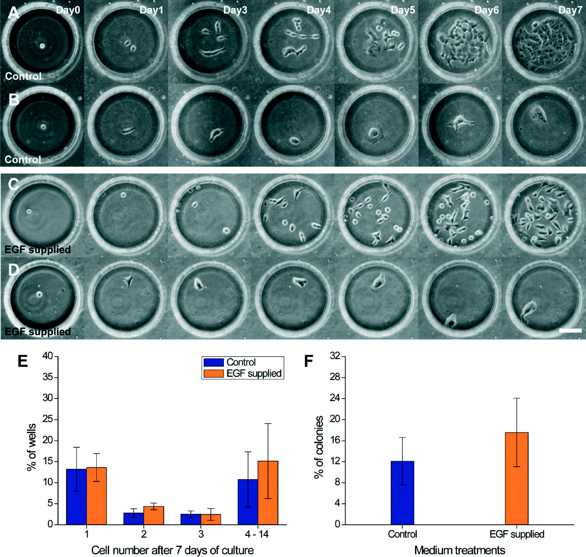 A microfluidic dual-well device for high-throughput single-cell