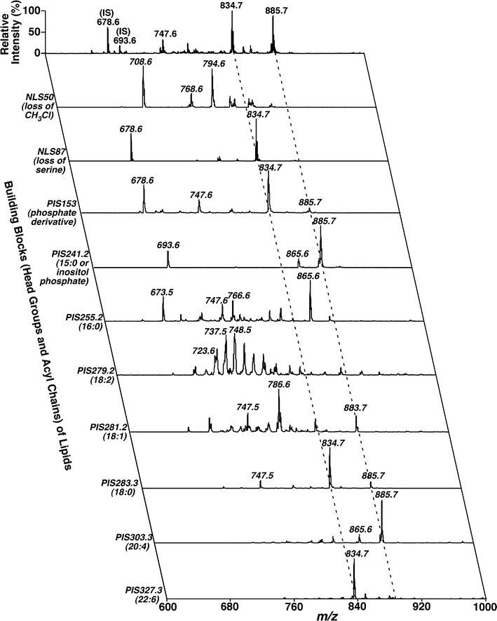 image file: c4mb00586d-f6.tif