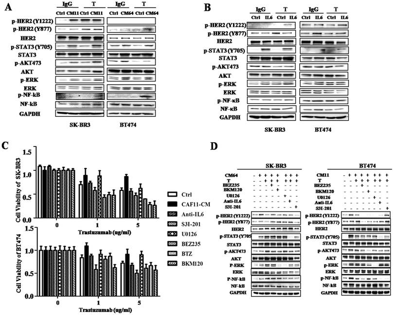 image file: c4mb00710g-f7.tif