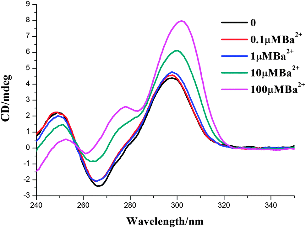 Metal ions modulate the conformation and stability of a G