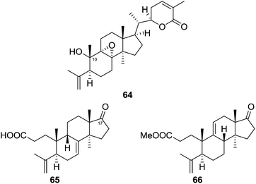 Triterpenoids from the Schisandraceae family: an update - Natural