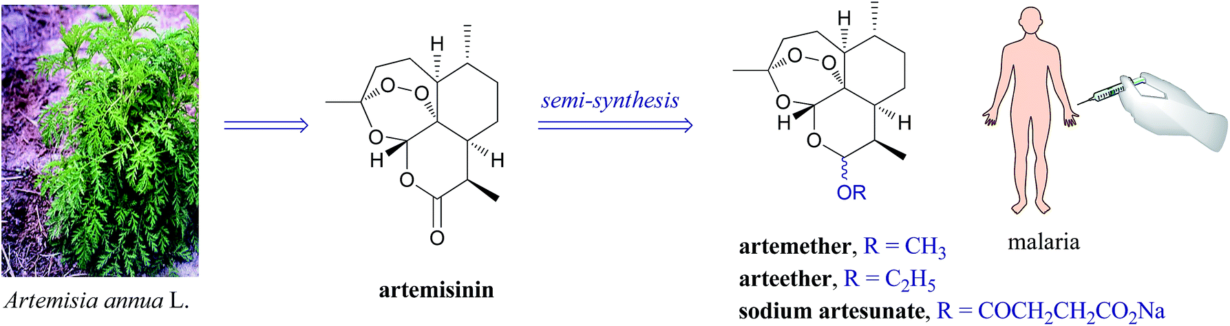 Artemisinin, the Magic Drug Discovered from Traditional Chinese Medicine