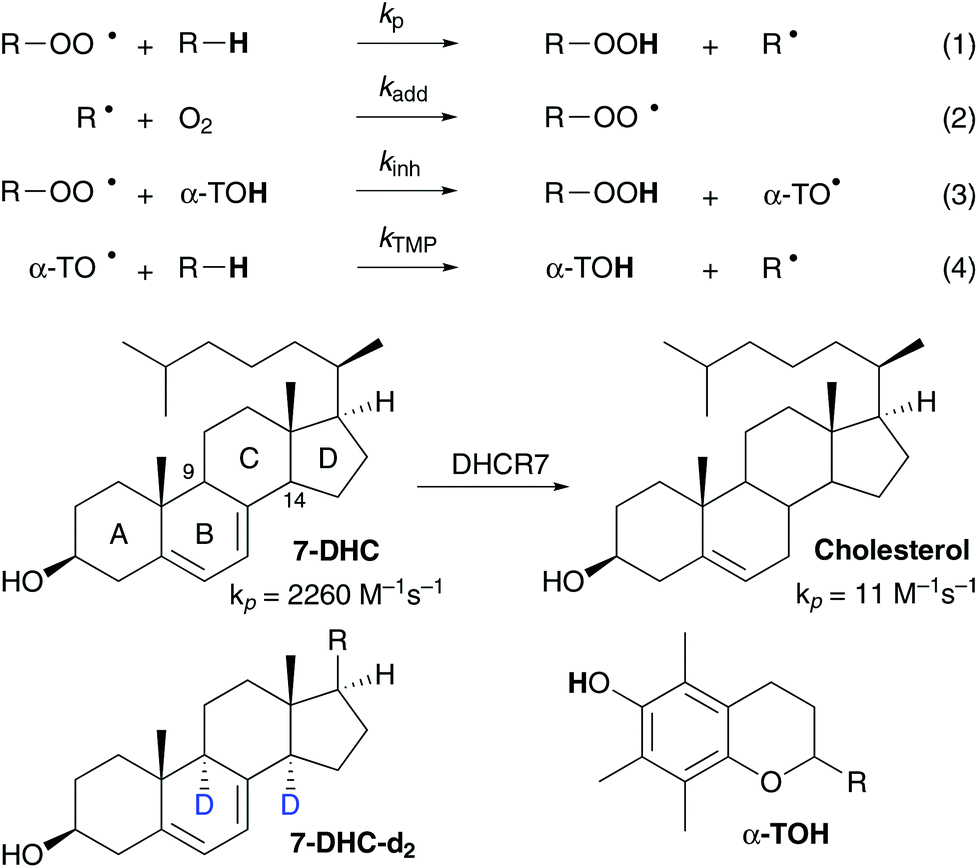 Tunneling In Tocopherol Mediated Peroxidation Of 7 Dehydrocholesterol Organic Biomolecular Chemistry Rsc Publishing Doi 10 1039 C4obc