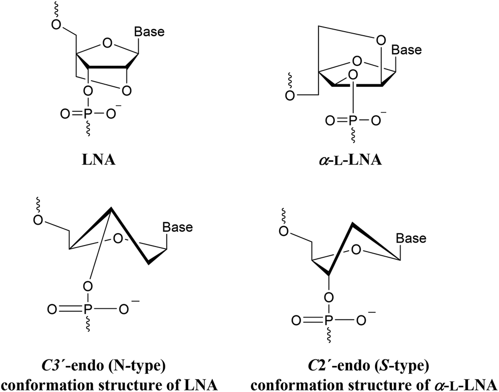 Thermal Stability Of G Rich Anti Parallel Dna Triplexes Upon Insertion Of Lna And A L Lna Organic Biomolecular Chemistry Rsc Publishing Doi 10 1039 C5obc