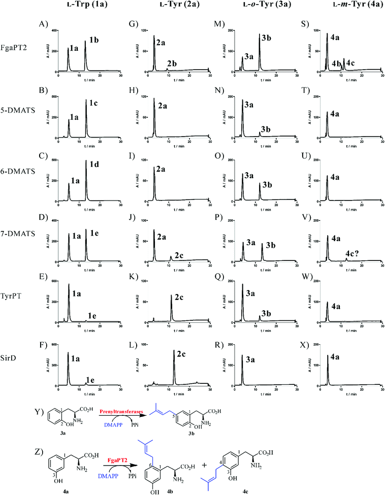 image file: c5ob01040c-f2.tif
