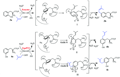 image file: c5ob01040c-f4.tif