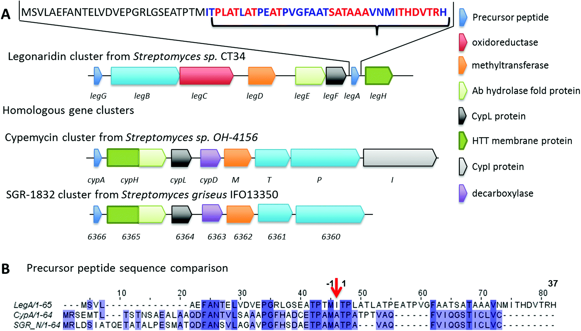 Legonaridin A New Member Of Linaridin Ripp From A Ghanaian Streptomyces Isolate Organic Biomolecular Chemistry Rsc Publishing Doi 10 1039 C5obd