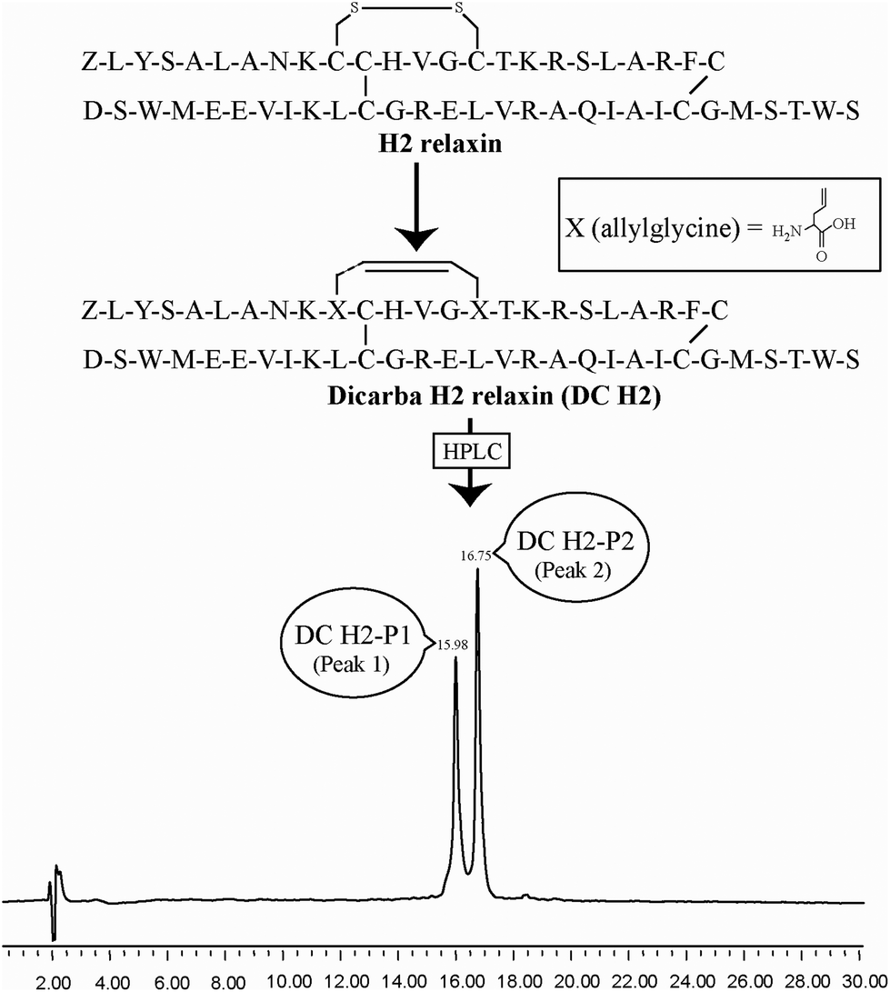 Chemically Synthesized Dicarba H2 Relaxin Analogues Retain Strong Rxfp1 Receptor Activity But Show An Unexpected Loss Of In Vitro Serum Stability Organic Biomolecular Chemistry Rsc Publishing Doi 10 1039 C5ob01539a