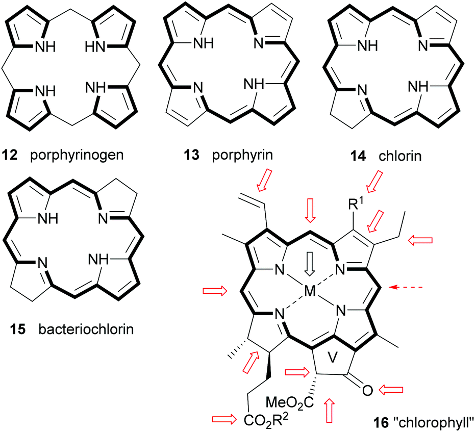 How Green Is Chemistry Chlorophylls As A Bioresource From