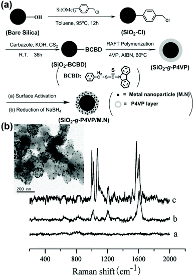 Surface-initiated controlled radical polymerizations from silica