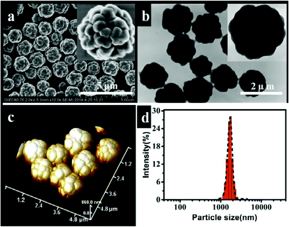 Fabrication of fluorinated raspberry particles and their use as 