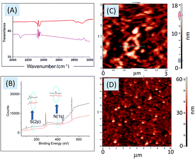 image file: c4ra07053d-f1.tif