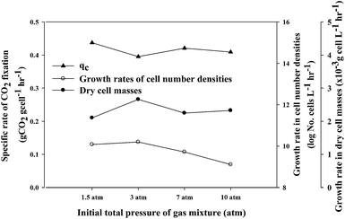 image file: c4ra07830f-f1.tif