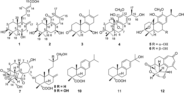 image file: c4ra10665b-f1.tif