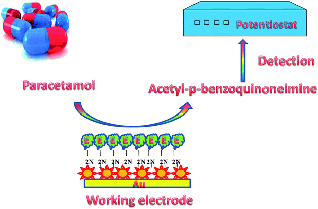 image file: c4ra11255e-s2.tif