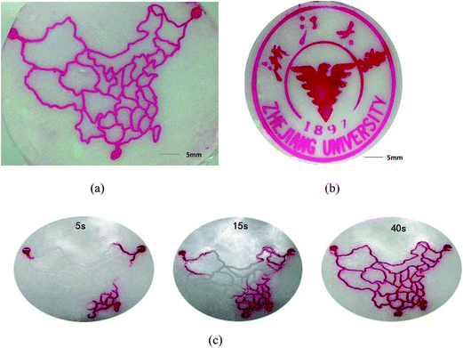 image file: c4ra12165a-f7.tif