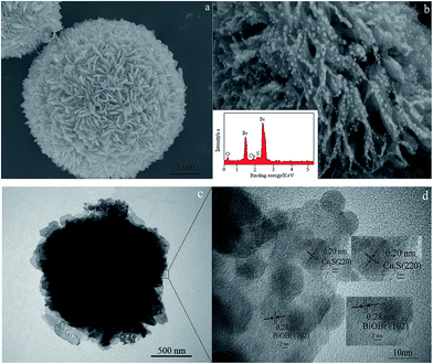 image file: c4ra12172d-f2.tif