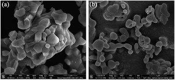 image file: c4ra12745e-f2.tif