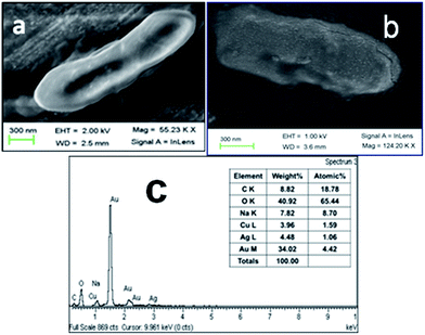 image file: c4ra12770f-f6.tif