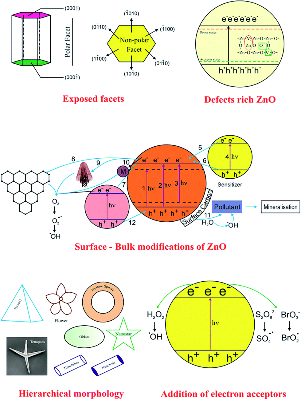 Zinc oxide based photocatalysis: tailoring surface-bulk structure 