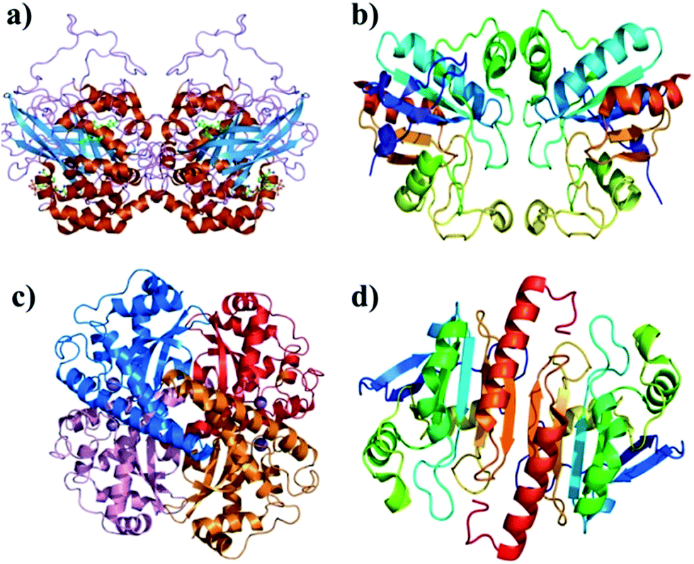 Antioxidants, Free Full-Text