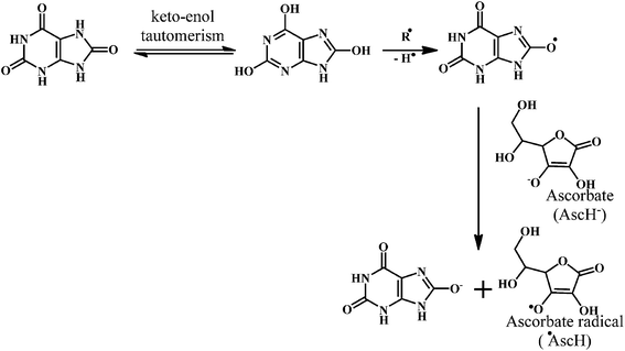 Antioxidants, Free Full-Text