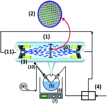 image file: c4ra13670e-f2.tif