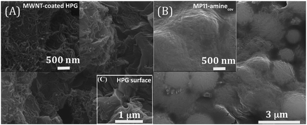 Enhanced Electroactivity And Substrate Affinity Of Microperoxidase 11 Attached To Pyrene Linkers P P Stacked On Carbon Nanostructure Electrodes Rsc Advances Rsc Publishing Doi 10 1039 C4rab