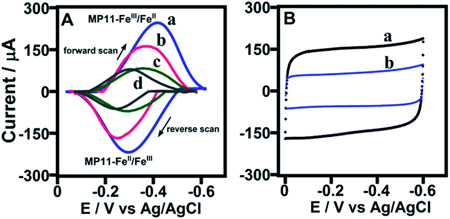 Enhanced Electroactivity And Substrate Affinity Of Microperoxidase 11 Attached To Pyrene Linkers P P Stacked On Carbon Nanostructure Electrodes Rsc Advances Rsc Publishing Doi 10 1039 C4rab