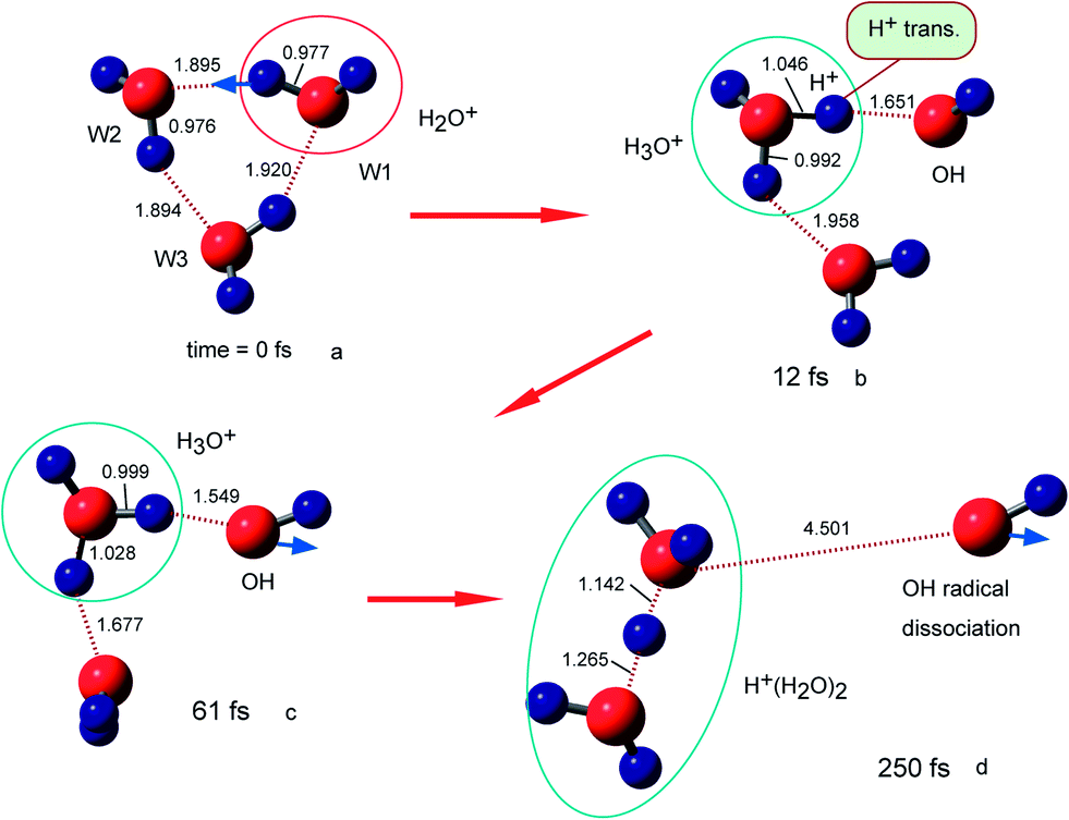 Proton transfer rates in ionized water clusters (H 2 O) n ( n = 2–4 ...