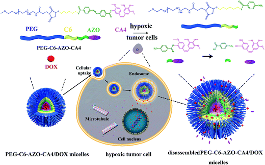 image file: c4ra14875d-s1.tif