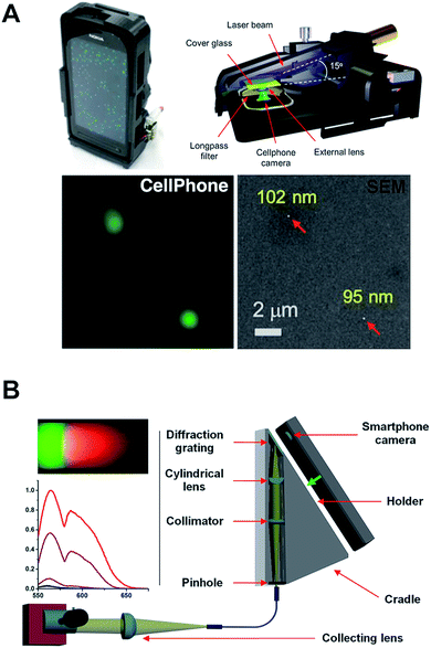  Resources: [Illinois] ECE 416 Fluorescence III and  Homogeneous Assays I: Watch Presentation