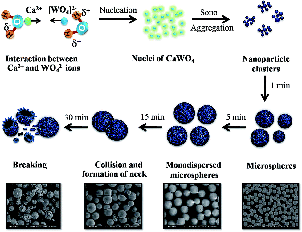 Directed synthesis, growth process and optical properties of ...