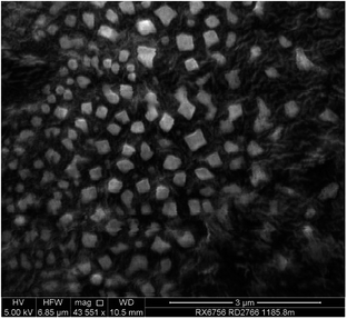 image file: c4ra15109g-f5.tif