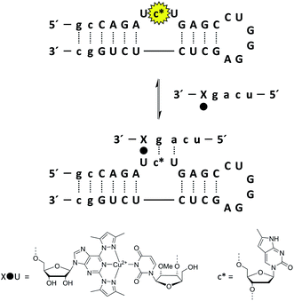 image file: c4ra15136d-s1.tif