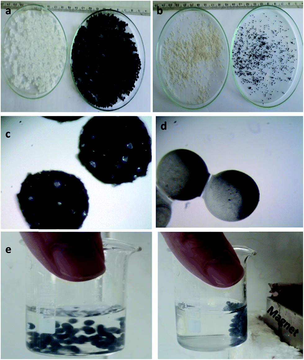 Preparation of magnetic pH-sensitive microcapsules with an 