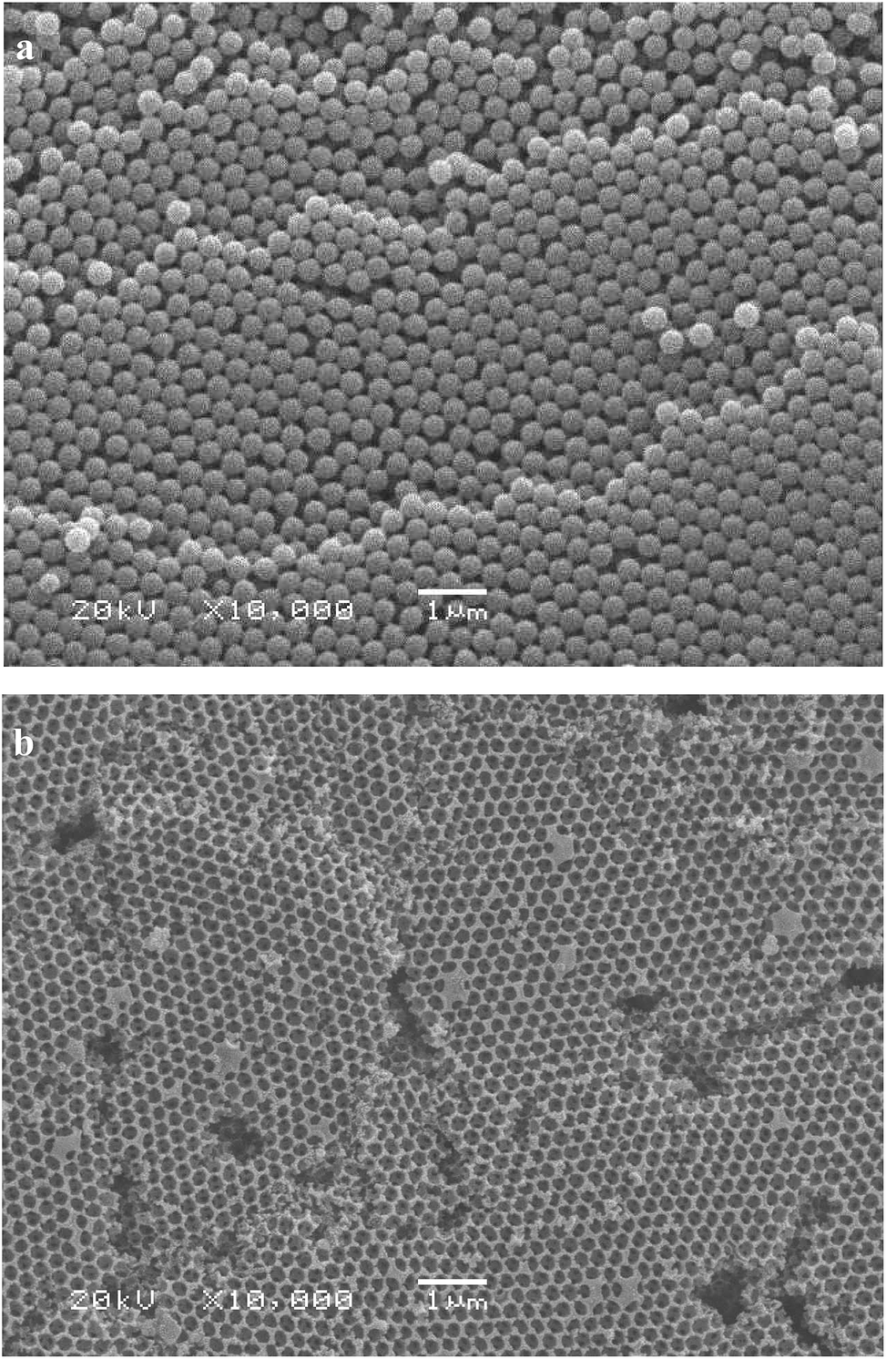 Highly dispersed MnO x nanoparticles supported on three Highly dispersed MnO x nanoparticles supported on three