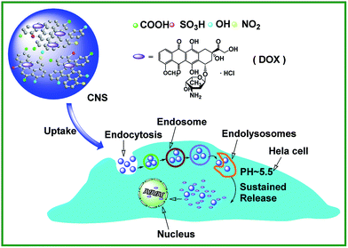 image file: c4ra16359a-s2.tif