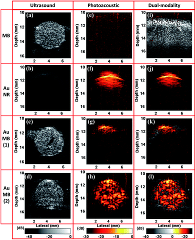 image file: c4ra16473c-f10.tif