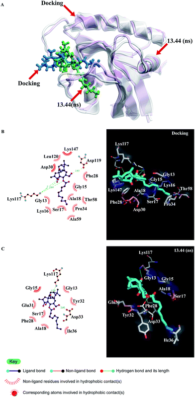 image file: c4ra16763e-f14.tif
