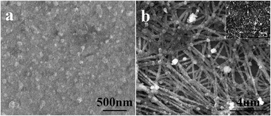 image file: c4ra17078d-f1.tif