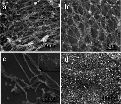 image file: c4ra17078d-f2.tif