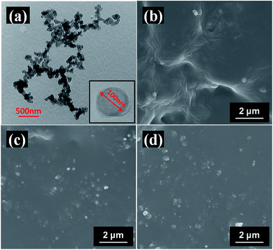 image file: c5ra00078e-f3.tif