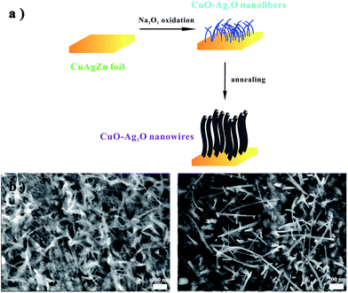 image file: c5ra00820d-f1.tif