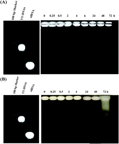 image file: c5ra01032b-f11.tif