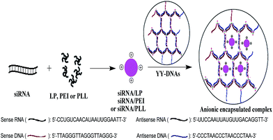 image file: c5ra01032b-s1.tif