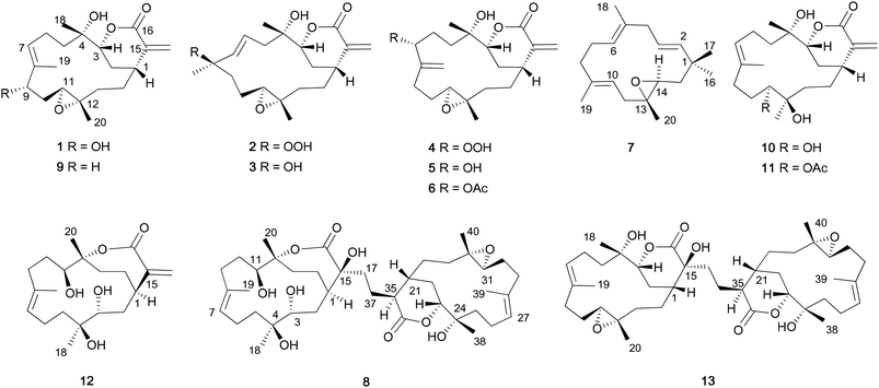 image file: c5ra01151e-f1.tif