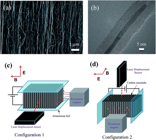 image file: c5ra01174d-f1.tif