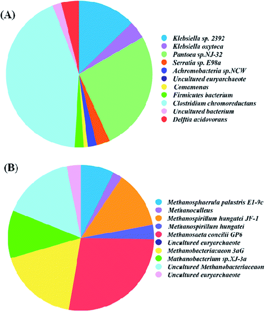 image file: c5ra01331c-f2.tif